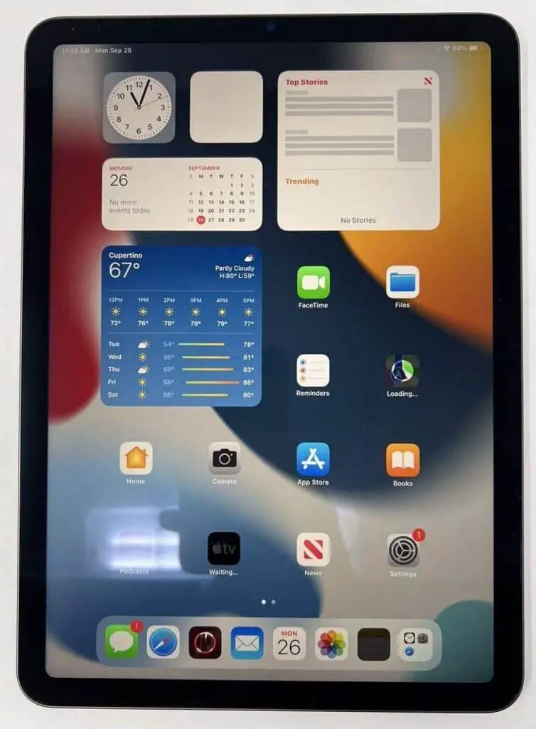 Apple iPad Air Display